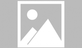 男女主娱乐圈吃瓜文小说